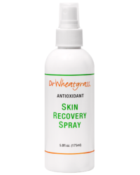 他の犬に噛まれた犬 オリー君 の傷がウィートグラスで素早い回復 Dr Wheatgrass